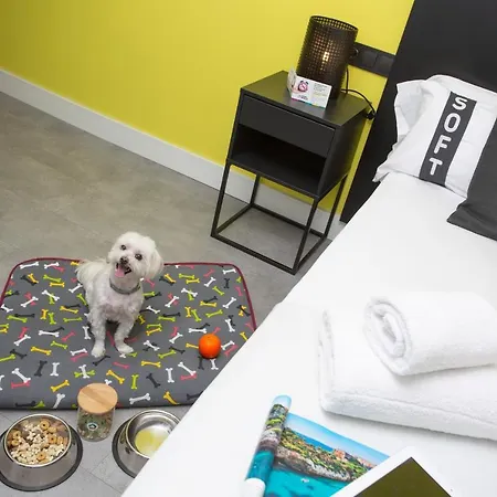 Hotel Casual Pop Art